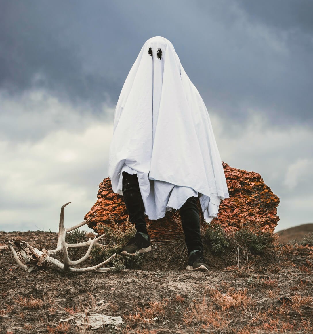 Manushree Art Portfolio